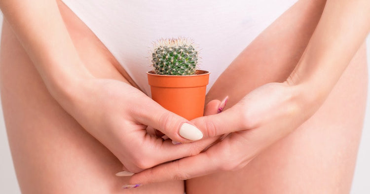 Vaginal Dryness