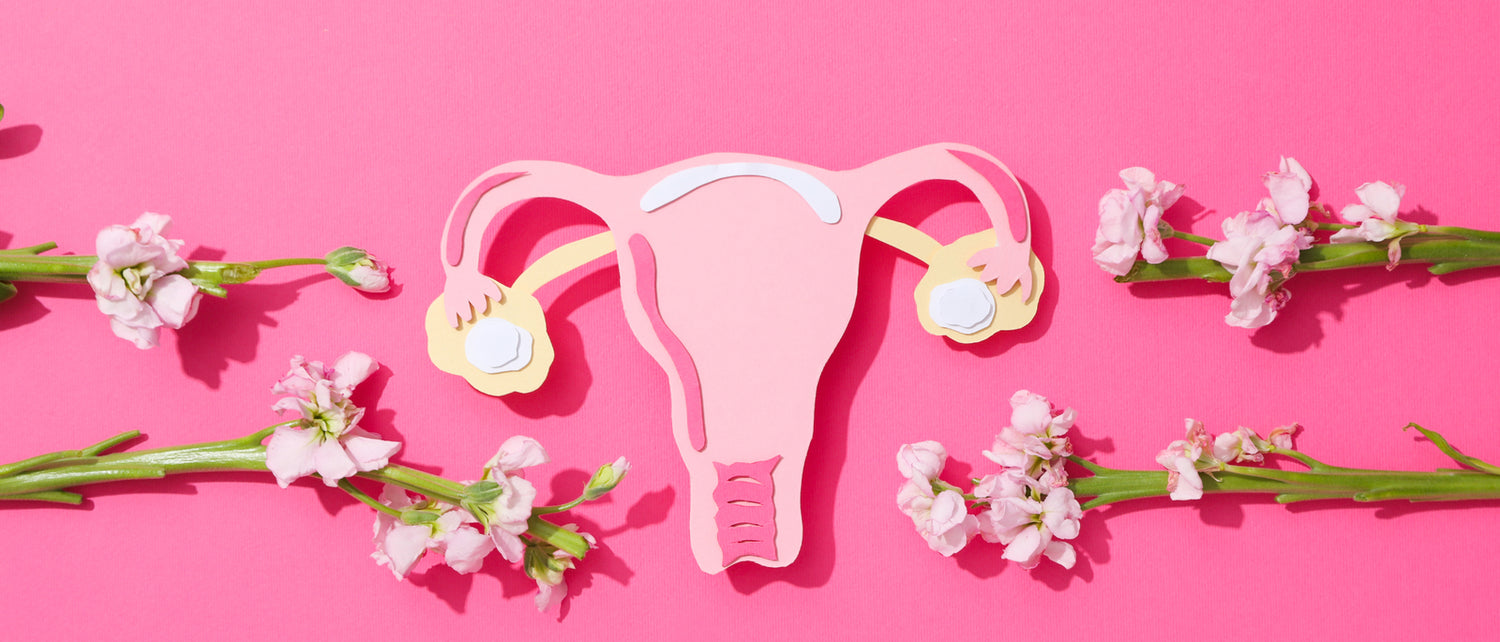 Vaginal Hygiene - Flow+Glow