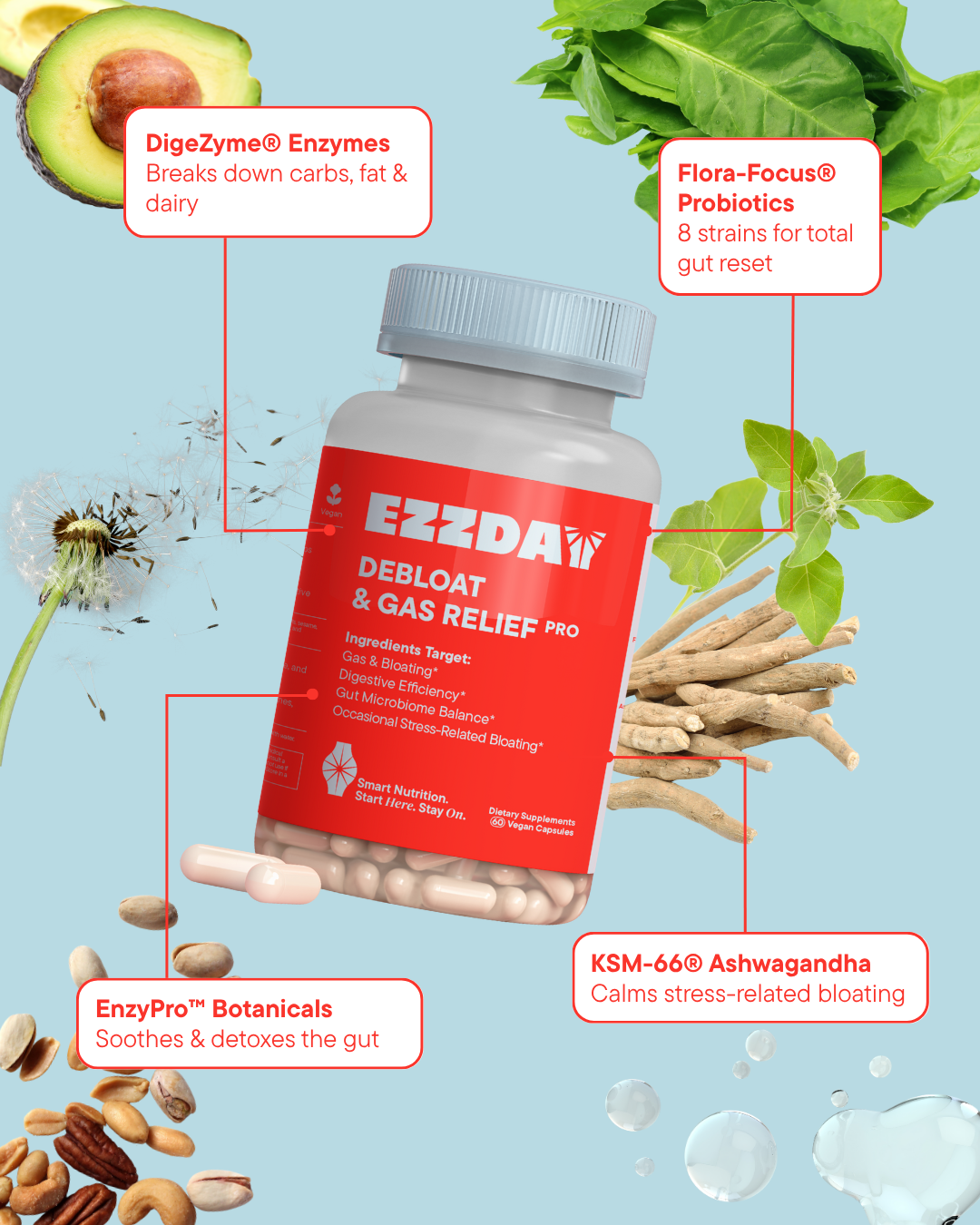 EZZDAY Deboat & Gas Relief Pro supplement bottle with botanical elements on a light blue background