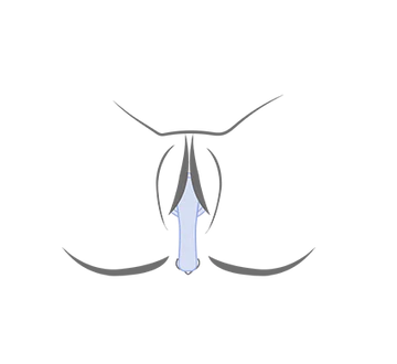 Niya Remote Kegel Egg