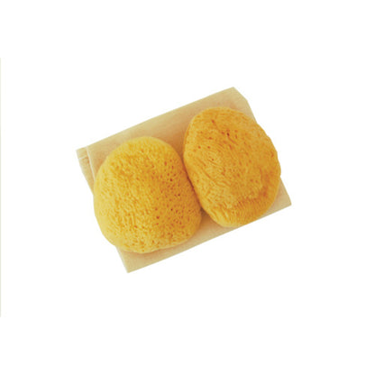 Absorbent Sea Sponges