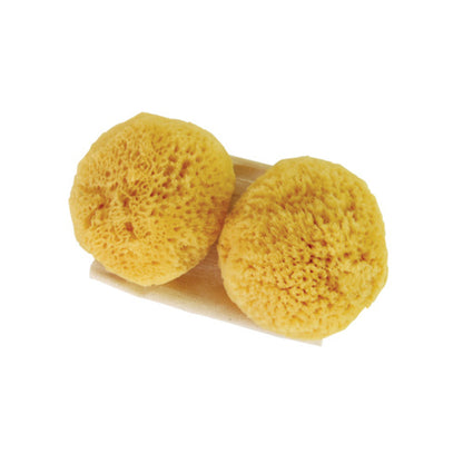 Absorbent Sea Sponges