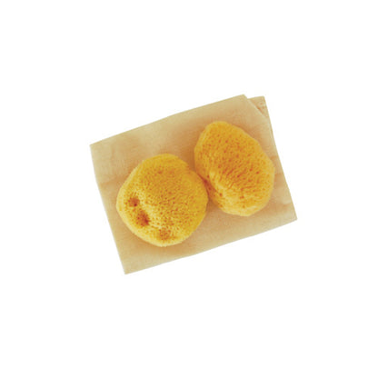 Absorbent Sea Sponges