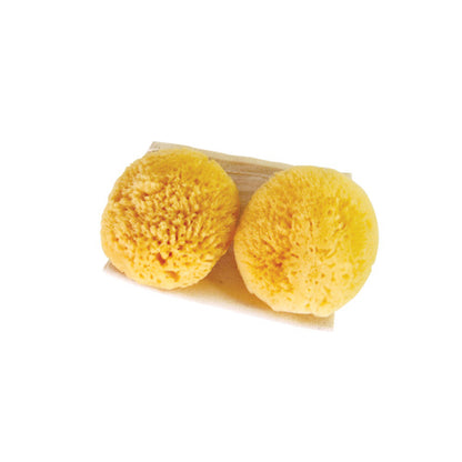 Absorbent Sea Sponges